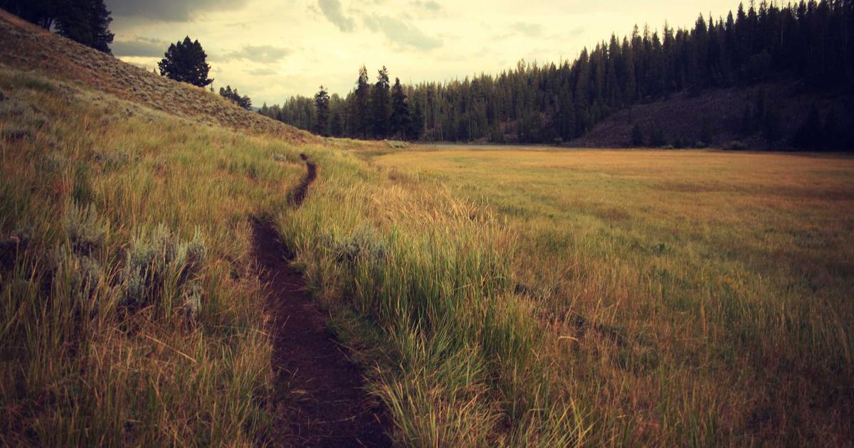 Pairing Cannabis Edibles With Local Adventures: A Traveler’s Guide to Dosing, Timing, and Memorable Days Out